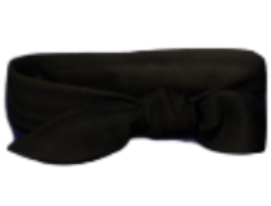 Arachnid Mesh