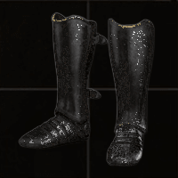 Shadow Dancer - D2Bits