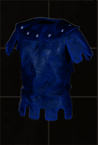 Skin of the Vipermagi - D2Bits